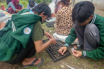 Implementasi Tema Membangun Desa, KKM Kel.20 Ikut serta dalam kegiatan penanaman bibit sayuran