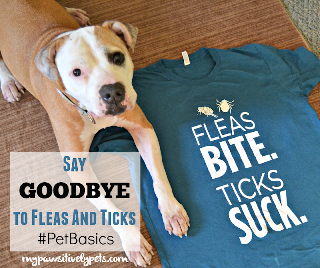 Say Goodbye to Fleas and Ticks -  Seresto Provides 8 months of flea and tick prevention #PetBasics #BlogPaws