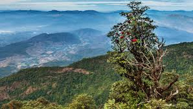 Chiang Mai's National Parks