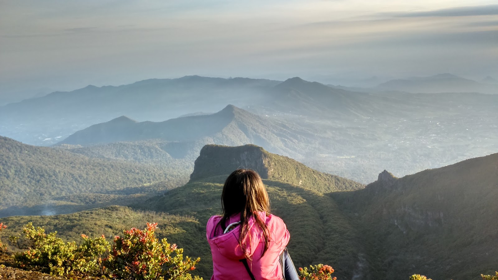 Pemandangan Yang Wow Keren Dari Gunung Gede