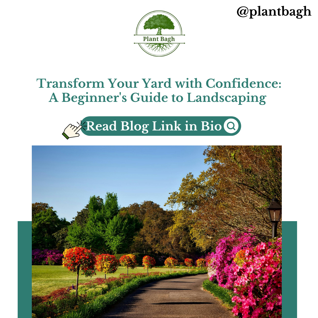 Creative social media graphic design for Plant Bagh Creative social media graphic design for Plant Bagh