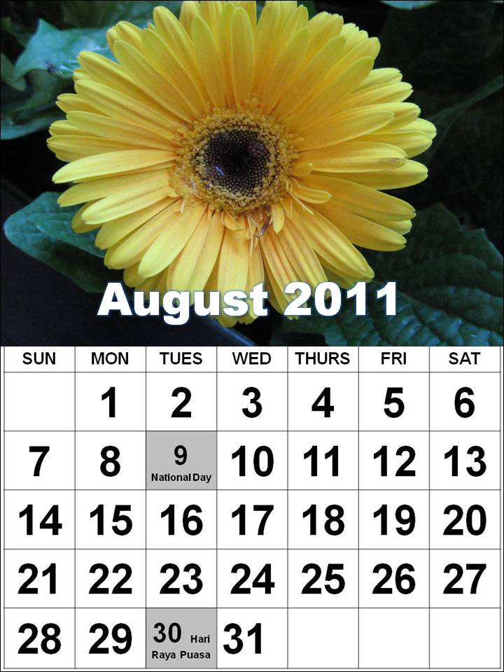 july august 2011 calendar. august 2011 calendar with