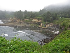  Marcia's Waterfall view, Boiler Bay State Scenic Viewpoint, 2012