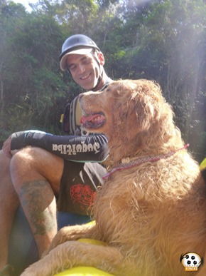 Pets 12 (33)