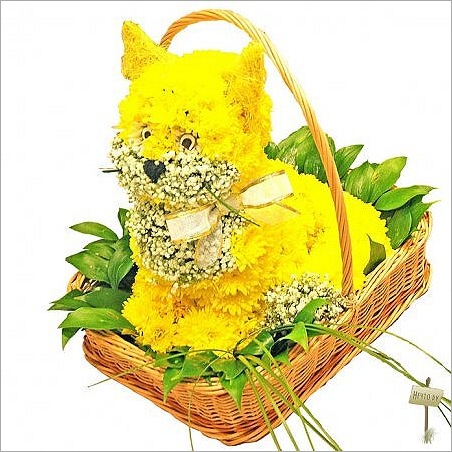 flowers6