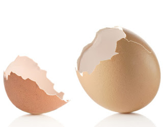 Eggshell