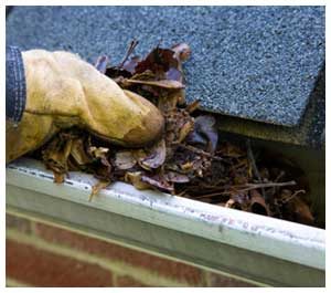 ROOF & GUTTER CLEANING