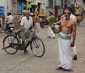 Kutty Kannan,Little Krishna,Sri Jayanthi, Purappadu, Thiruvallikeni, Parthasarathy Perumal, Triplicane,