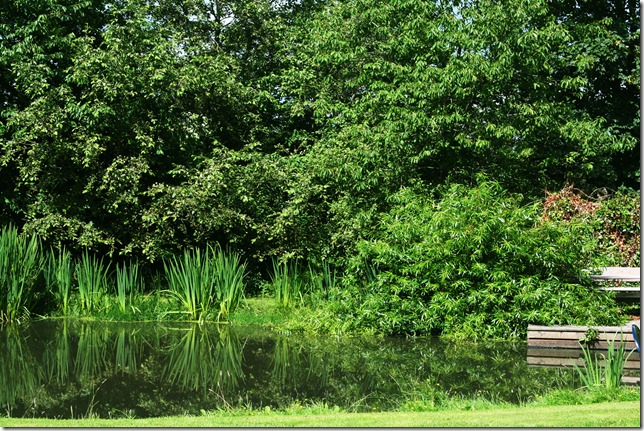 Danmark sommeren 2010 013