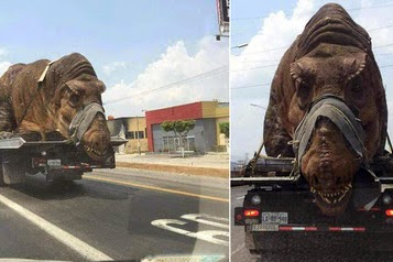 Heboh, Dinosaurus Di Angkut Truk