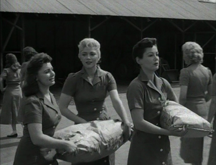 Girls in Prison (1956) - Edward L. Cahn, Synopsis, Characteristics, Moods,  Themes and Related