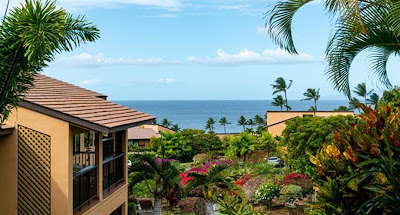 Wailea Real Estate