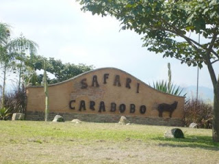 el safari carabobo valencia