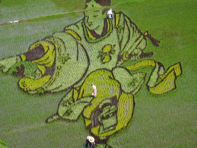 Japanese Rice Paddy Art 2010 Seen On www.coolpicturegallery.net