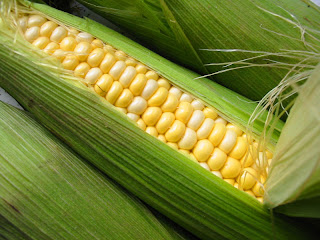 corn for fat reducing