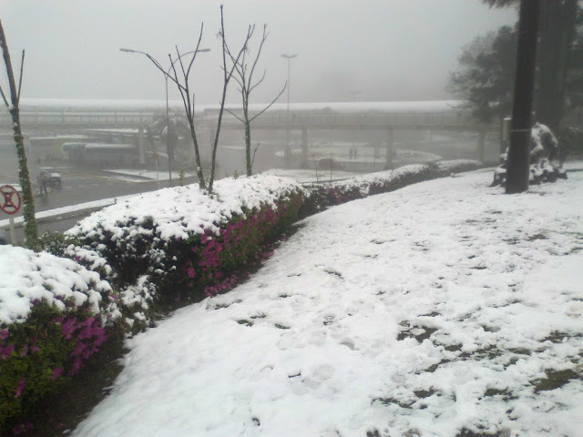 Neve em Caxias do Sul, agosto de 2013