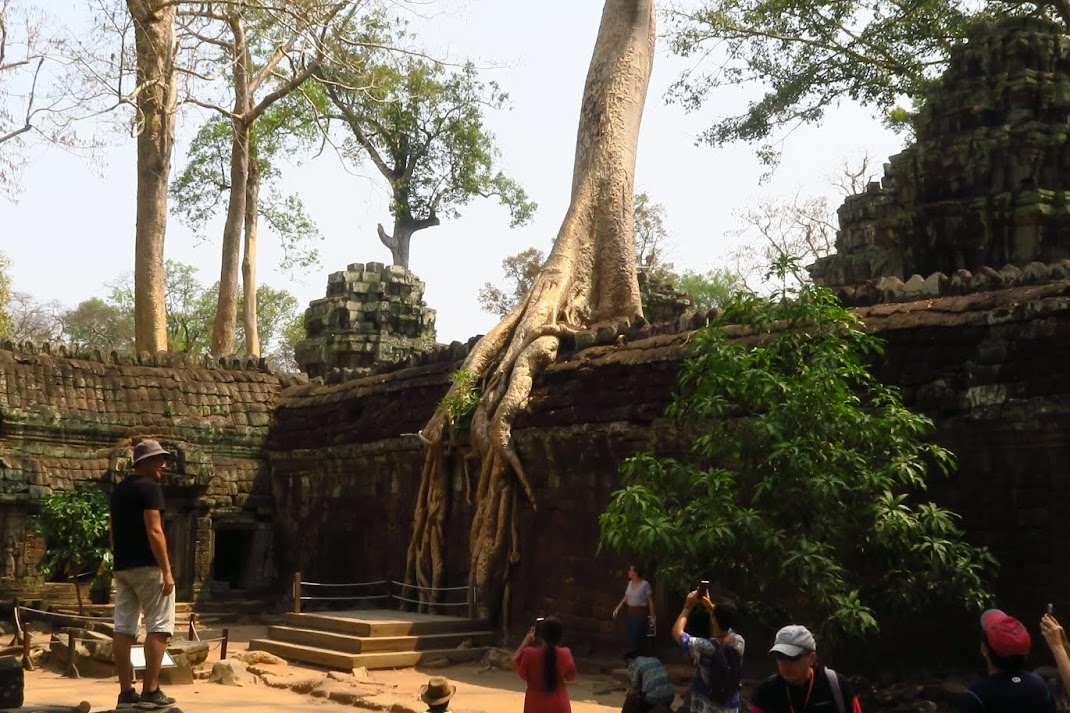 Ta Prohm Temple, also known as Tomb Raider Temple