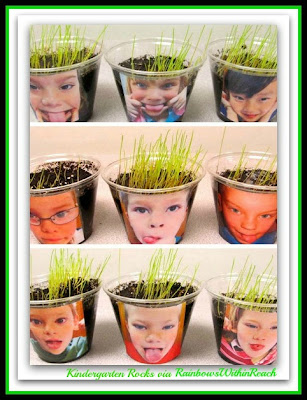 photo of: "Happy Hair: Grass Seed Kindergarten Science" from Kindergarten Rocks via RainbowsWithinReach