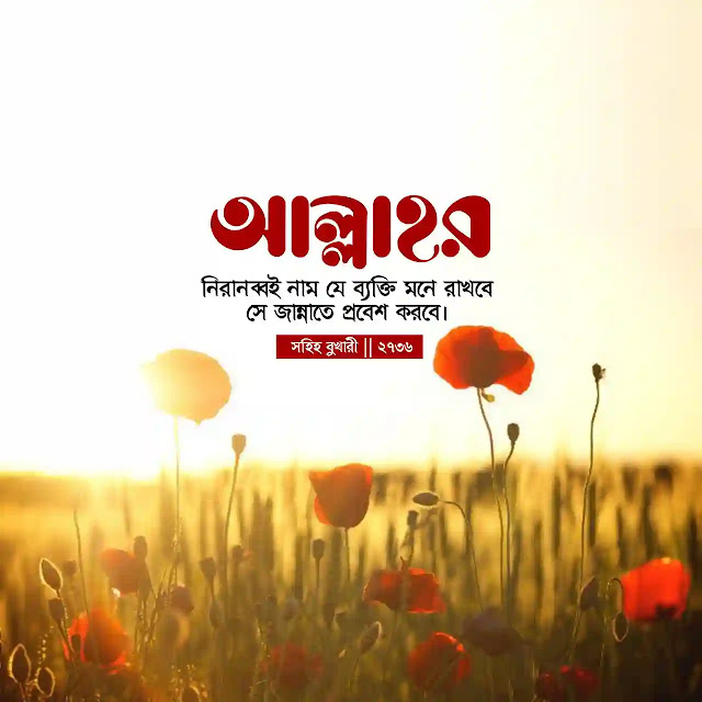ইসলামিক স্ট্যাটাস পিকচার ডাউনলোড - ইসলামিক পিকচার ২০২৩ - Islamic status pic ইসলামিক স্ট্যাটাস পিকচার ডাউনলোড - ইসলামিক পিকচার ২০২৩ - Islamic status pic