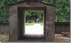 IMAG1850