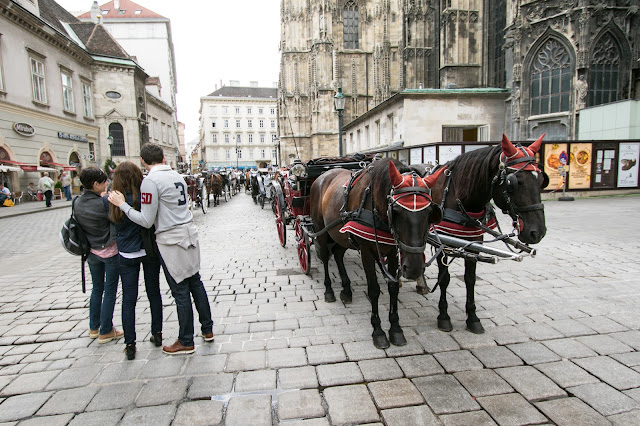 Carrozze con cavalli al Duomo (Stephansdom)-Vienna