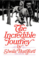 The Incredible Journey