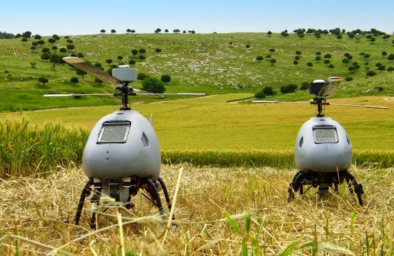 Steadicopter.jpg (572×372)