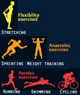 Different Types of Exercise