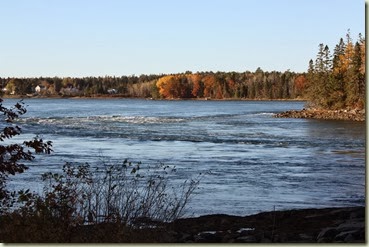 IMG_1432_1024x683