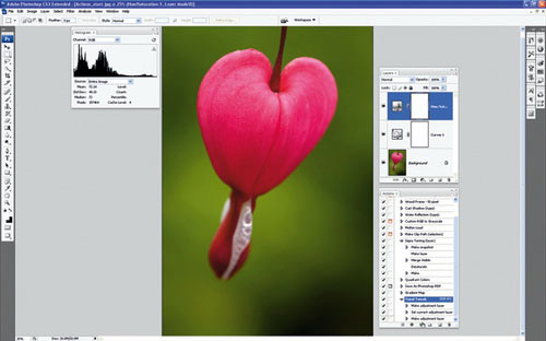 Thủ thuật Photoshop: Cách xử lý ảnh hàng loạt nhanh và đẹp