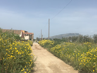 Trasa rowerowa na SYcylii. Trasa rowerowa Trapani - Marsala