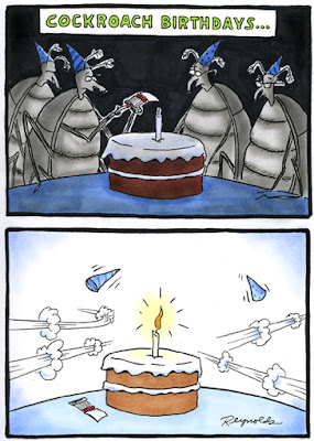 Cockroach's birthday