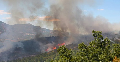 ΕΚΤΑΚΤΟ:Πυρκαγιά ΤΩΡΑ σε δασική έκταση στον Σμήνο Λακωνίας