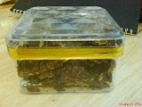 coklat krunchy