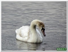 20140402_061118_024_ShanZhong_Lake