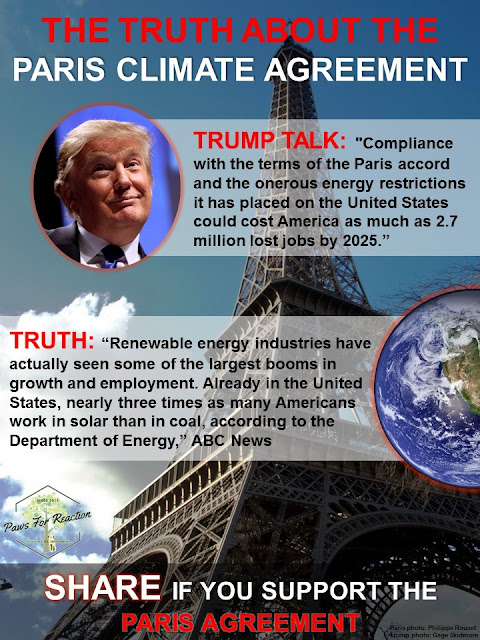 Trump Talk vs Truth: Fact checking Donald Trump's Paris Climate Agreement speech