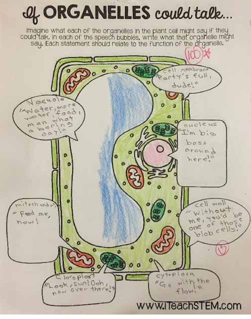Students complete different interactive notebook templates and review sheets to help further solidify their understanding of each organelle of a cell and it's role in the plant and/or animal cell.