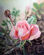 Pin It This rose was another commission painting for the Notebooks . (pink rose painting )