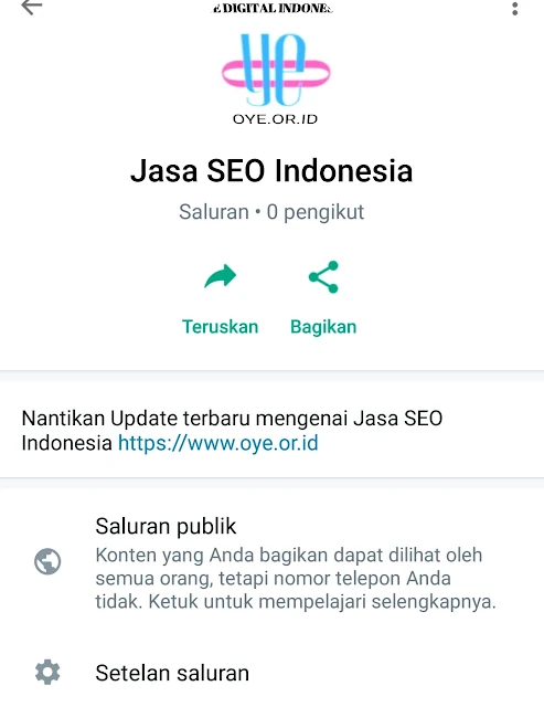 Gambar Saluran Whatsapp Jasa SEO Indonesia