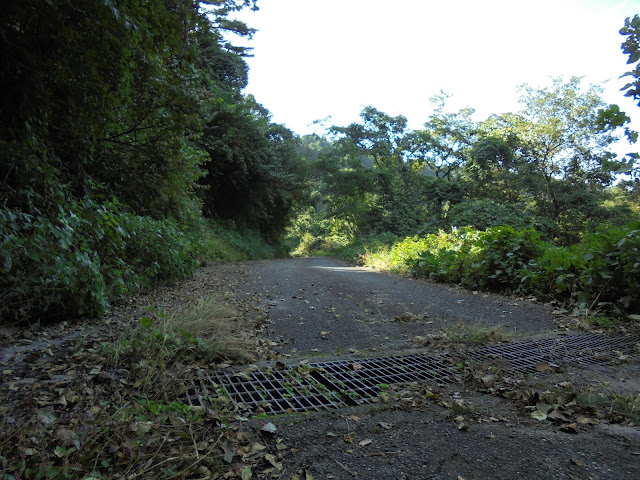 寂れた道をだいぶ登りました