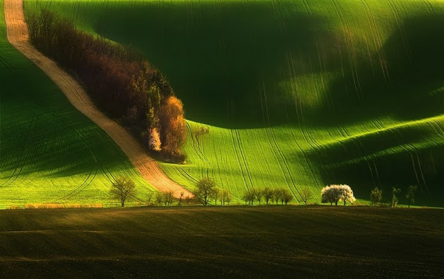 Beauty of Moravia