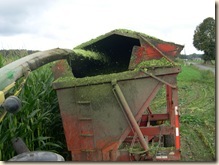 Filling the hopper