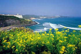 Beautiful Jeju island