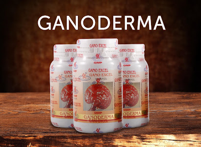 Gano Excel Ganoderma Kapsül