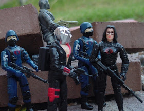 1984 Baroness, Wild Weasel, Rattler, 2004 Cobra Trooper, 1983 Destro, Cobra Trooper, Firefly