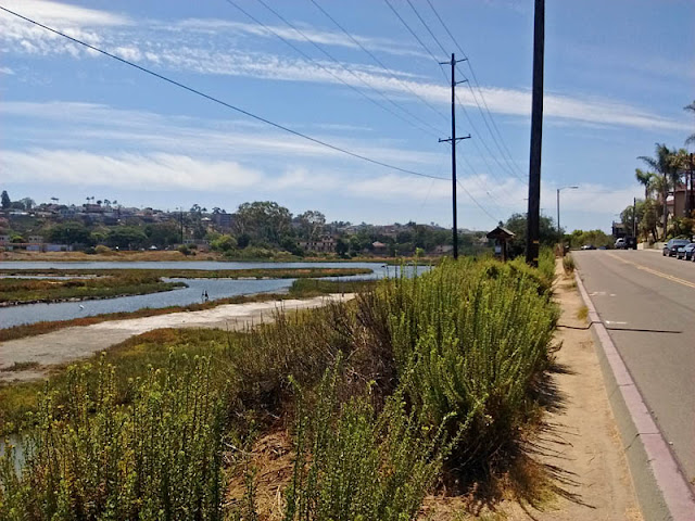 Famosa Slough northwest corner