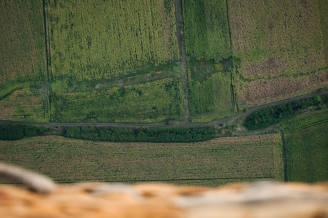 Hot-air ballooning in Transylvania, Romania