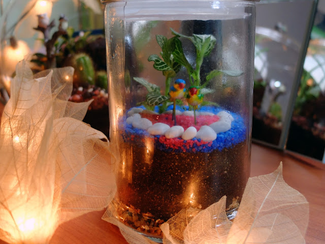 Where to get terrariums in Singapore