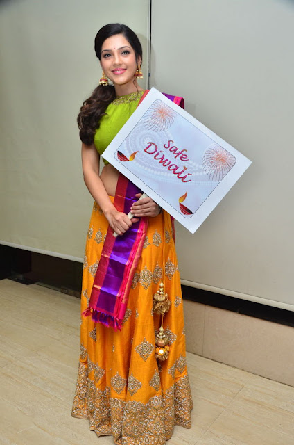 Mehreen Pirzada with Safe Diwali Board Pic