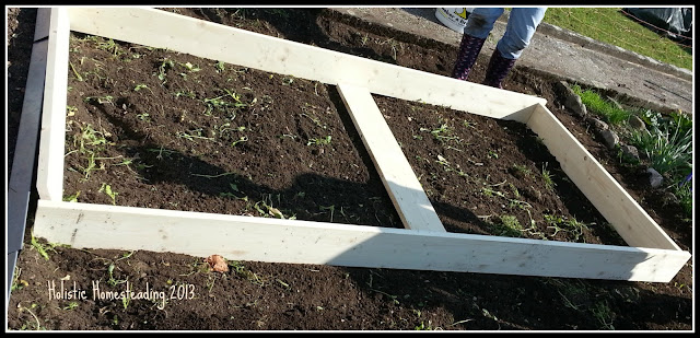 square foot gardening setup